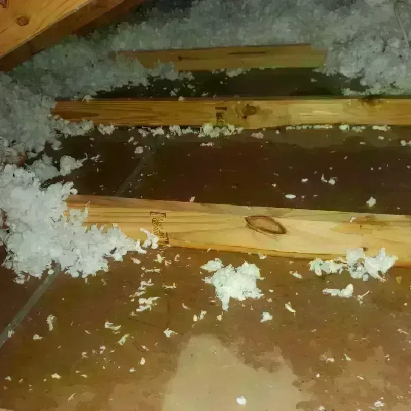 Attic Water Damage in Holly, MI