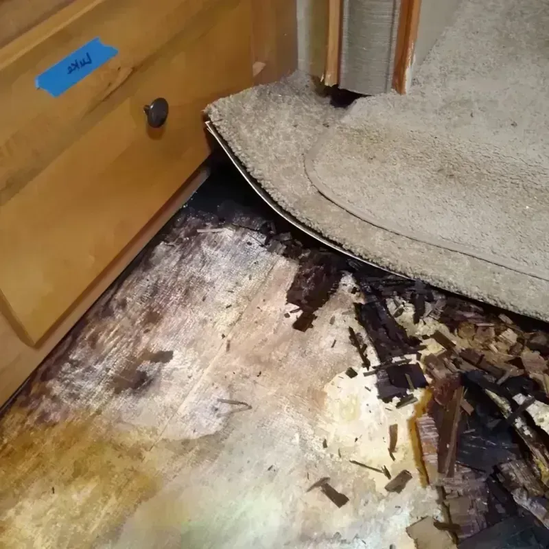 Wood Floor Water Damage in Holly, MI